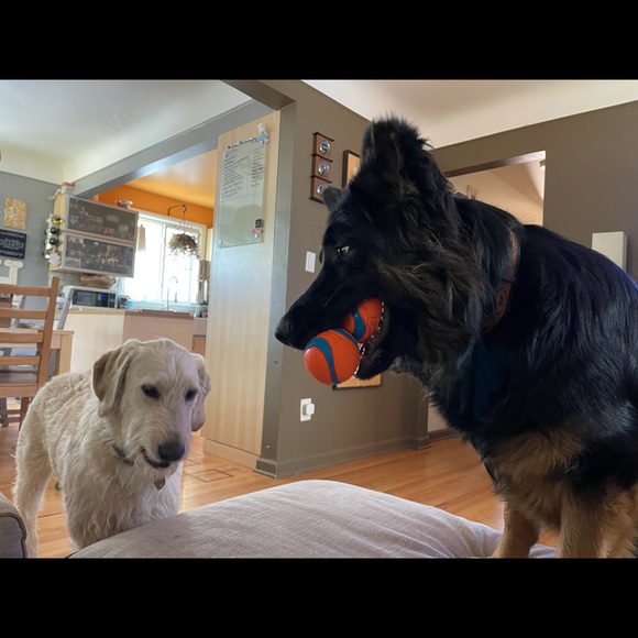 Meet your Posher, Heather - Picture 2 of 8